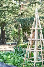 Diy French Tuteurs For The Garden Gardeningandlandscaping Diy Garden Projects Diy Trellis Garden Projects