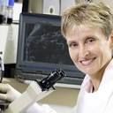 Profile Picture of Ann McDonnell Profile | University of Sussexon Google