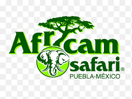 Stick with the professional everglades tour. Parque Safari Png Pngegg