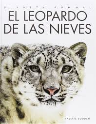 Mira los últimos videos y canta con ellos. Spa Leopardo De Las Nieves Planeta Animal Bodden Valerie Amazon De Bucher