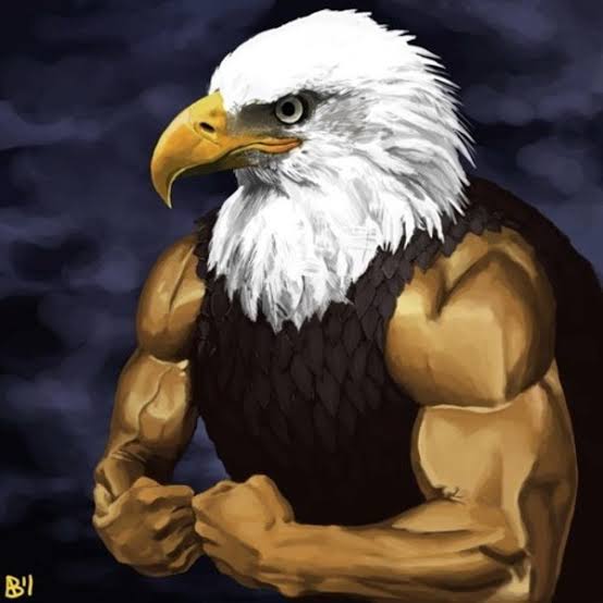 america ... don't mess with it ....