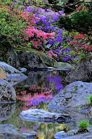 Spring Colors Seattle Japanese Garden Seattle Japanese Garden Japanese Garden Scenery