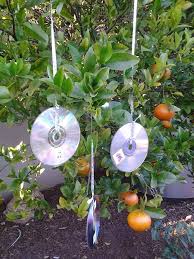 Ausgefallene Gartendeko Selber Machen 101 Beispiele Und Upcycling Ideen Gartendeko Selber Machen Selber Machen Upcycling Gartenschadlinge