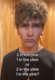 2 in The Pink 1 in The Stink Reference