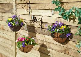 Strawberry plants in hanging baskets need regular fertilizer as there is limited amount of nutrients in the soil from a basket. Hanging Baskets Add Colour To Your Garden Tips From David Domoney