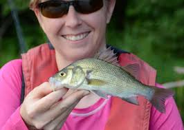 Record Fish Caught in New York