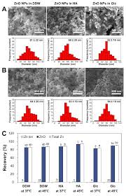 As with shape, you will need to determine the size you need. Ijms Free Full Text Fate Determination Of Zno In Commercial Foods And Human Intestinal Cells Html