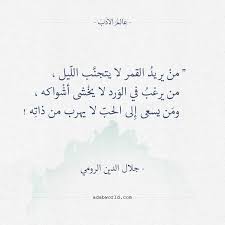أقوال جلال الدين الرومي من يريد القمر لا يتجنب الليل عالم الأدب Funny Dating Quotes Wonder Quotes Words Quotes