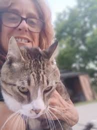 Missing cat Pancake found near Bear Ridge Road