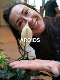 First bloom for this massive #ponytail #palm with Mike Holloway, horti...