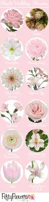 Impara i nomi dei fiori in italiano. Fiori Per Colore Il Rosa E Il Fucsia Organizzazione Matrimonio Forum Matrimonio Com