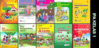 Detail buku ips kelas 5 kurikulum 2013 pdf dapat kamu nikmati dengan cara klik link download dibawah dengan mudah tanpa iklan yang mengganggu. Download Bse Ipa Kelas 1 2 3 4 5 Dan 6 Sd Ktsp 2006 Rief Awa Blog
