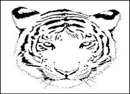 Nov 13, 2019 · tigers are often featured in many animation movies and motion pictures that are familiar with kids. Free Printable Tiger Coloring Pages Coloring Library