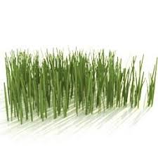 3d Gardening Grass 06 3d Model For Interior 3d Visualization Grass Type Grass 3d Model