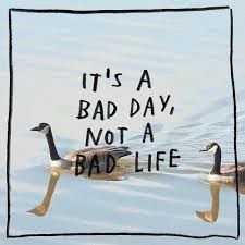 Bird Is The Word Gif With Sound Https Encrypted Tbn0 Gstatic Com Images Q Tbn 3aand9gcq0f5fvm4cqqzolutfvg5udiv U7yhhf Szvw Usqp Cau
