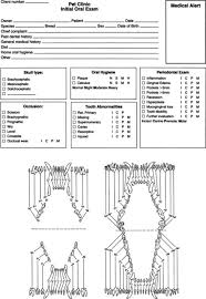 Dental Records Veterian Key