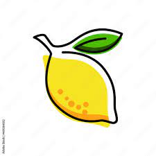 Lemon art vector. Fresh lemon fruits on summer season. Summer fruit  Векторный объект Stock | Adobe Stock