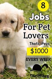 5 Jobs For Pet Lovers That Pays 50 Hour Animal Lover Pets Job
