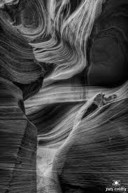 In this tutorial, i'm going to show you how to properly process black and white wildlife photos. 40 Stunning Black And White Photography