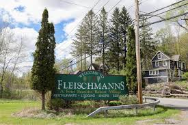 DUS IZ NIES !! Rare View...: Appeals court ruling tightens R' Avraham  Horowitz and Avigdar Mendlowitz grip over Fleischmanns Catskills resort town