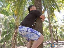 世界第一等第十輯 盧學叡（主持） 唐振剛（主持） 百萬發明家第二季 george zaidan（主持） 代配第8集 爸爸去哪兒第五季 吳尊（演出爸爸） 叢林的法則第六輯 吳萬石（隊員） 墨西哥篇 大台冠軍第一輯 增田和也 （ 日语 ： 増田和也 ） （比賽旁述） running man. ç›§å­¸å¡è½‰æˆ°ä¸»æŒäººç¬¬ä¸€é—œå…ˆåž æ¯› Ettodayæ˜Ÿå…‰é›² Ettodayæ–°èžé›²