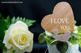 Pin On Flowers Dp Images For Whatsapp Status In Hindi English