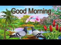 We did not find results for: Good Morning Wishes Video Whatsapp Lovely Beautiful Videoecard Images Greetings Youtube Good Morning Wishes Good Morning Gif Good Morning Love
