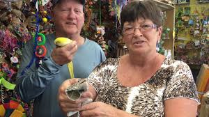 Best new york reptile pet shops « cbs new york. Ormond S Exotic Pet Store Amazon Jungle Celebrates 35 Years News Daytona Beach News Journal Online Daytona Beach Fl