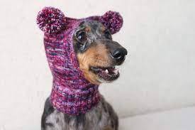 Knitting Pattern Small Dog Hat Dachshund Hat Mini Dachshund Etsy Small Dog Sweaters Dog Hat Pattern Crochet Dog