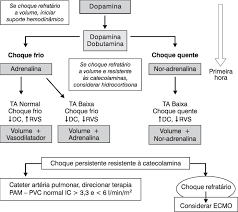 Qué es un choque séptico, lo que causó la muerte de guillermo murray. Suporte Farmacologico No Paciente Com Choque Septico Modificado De Download Scientific Diagram