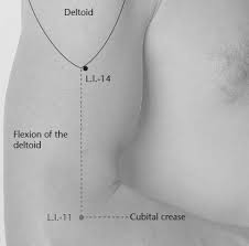 10 Healing Pressure Points To Treat Cardiovascular Disorders