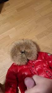 Red Moncler Cum: German Gay Cum Tribute Cum Tribute Porn