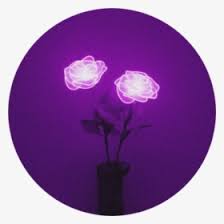 Get it as soon as fri, apr 23. Tumblr Aesthetic Black Roses Rose Aesthetic Black Flowers Hd Png Download Transparent Png Image Pngitem