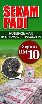 Sekam mentah 7 hari siap digunakan.rice husk 7 days ready to use. Baja Sekam Padi Bakar Kedah Photos Facebook