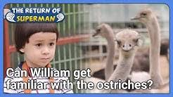 Kbs streams live on twitch! Qu3erh4qkx6ztm