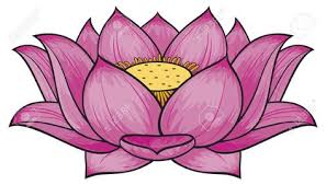 15039843 Flor De Loto Foto De Archivo Jpg 1300 742 Disegni Fiore Di Loto Disegno Fiori Fiore Di Loto