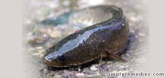 Ibu berpantang disyorkan makan secara kerap tapi dalam porsi sederhana. Rahsia Ibu Berpantang Ceria Steadfast