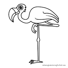 Birds coloring pages for kids. Drawing Birds For Kids Coloring Pages Birds Drawing Penguin Falcon Flamingo Turkey