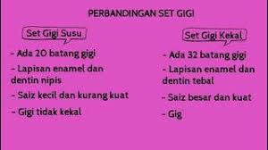 (set gigi susu) (set gigi kekal) namakan jenis gigi di bawah dan tuliskan fungsinya. Gigi Susu Dan Gigi Kekal Sains Tahun 3 Youtube