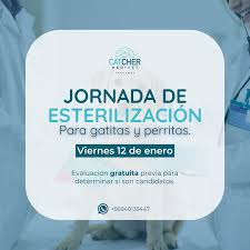 Clínica veterinaria Catcher