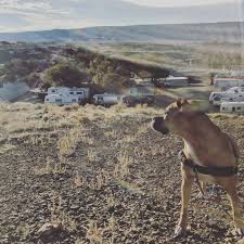 Maybe you would like to learn more about one of these? One Day In Rock Springs Wy Airstreamdog