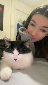 Dog found in Bethel, CT area