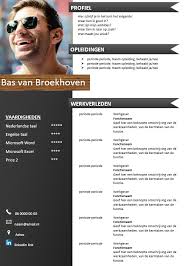 Gratis Cv Template