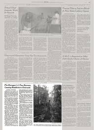The pine, is a family of resinous woody trees with needlelike, usually evergreen leaves. Fire Ravages L I Pine Barrens Causing Residents To Evacuate The New York Times