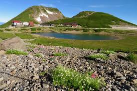 Pixiv is an illustration community service where you can post and enjoy creative work. ä¹—éžå²³ã‚·ãƒ£ãƒˆãƒ«ãƒã‚¹ã®é‹è¡ŒãŒå†é–‹ã§ã™ æ–°ã¾ã¤ã‚‚ã¨ç‰©èªž