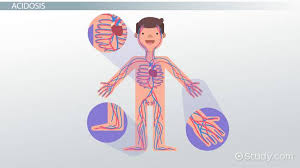 Acidosis Vs Alkalosis