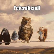 Speichere deine bilder und teile sie mit deinen freunden oder der ganzen welt. Sprung Wir Machen Das Schon Gif Find Share On Giphy