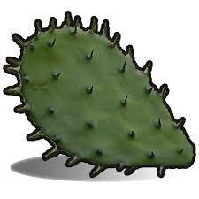 Plus, you can use the blade of the hatchet to strike a piece of flint to throw some sparks onto fine tinder. Cactus Flesh Rust Wiki Fandom