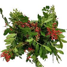 Pepperberry Brazilian Red Mayesh