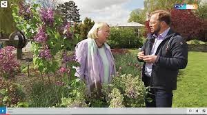 In seiner reihe horst sein schrebergarten unterstützt er hobbygärtner und gartenliebhaber das ganze jahr mit praktischen ratschlägen zu allen. Mdr Garten Fliedertraum Blog